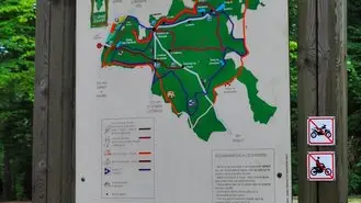 Forêt de Lespinasse