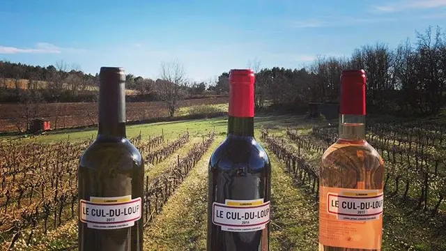 Vin rouge, rosé et blanc dans le Luberon