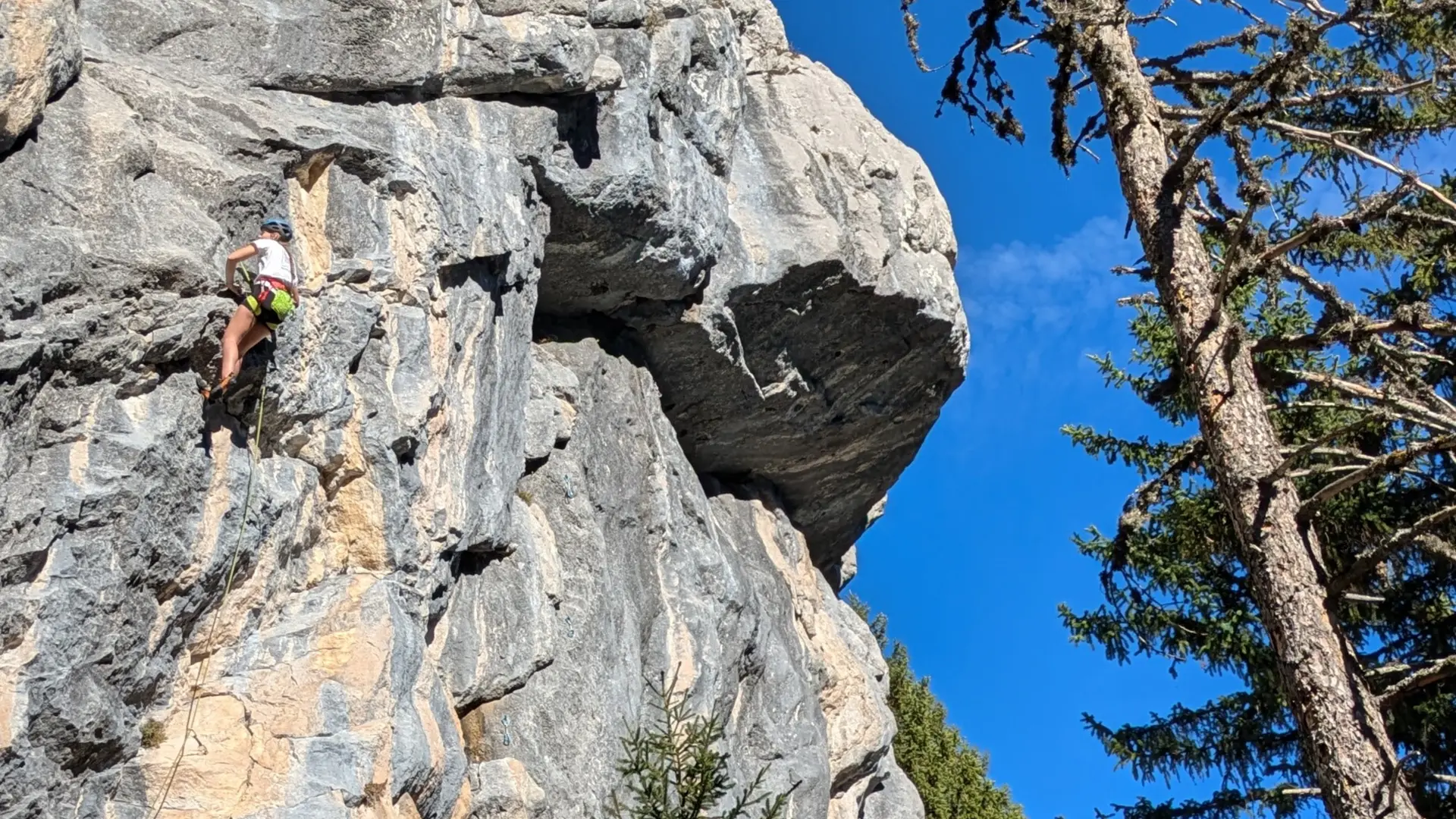 Stage escalade ados progression en tête