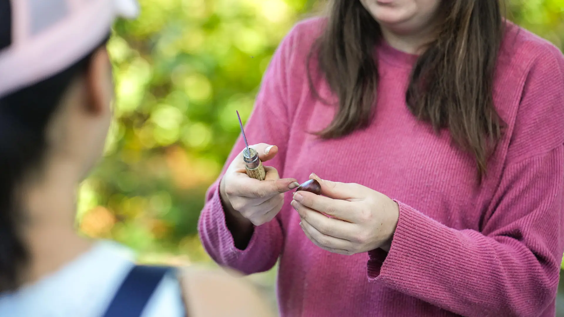 Chataigneraie Godissard à Collobrières