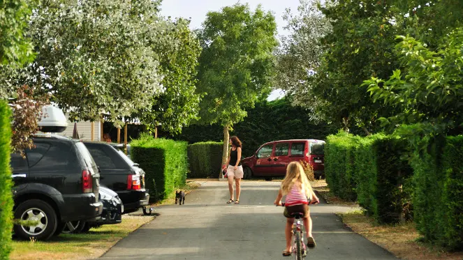 Allée du camping