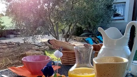 le petit déjeuner sur la terrasse