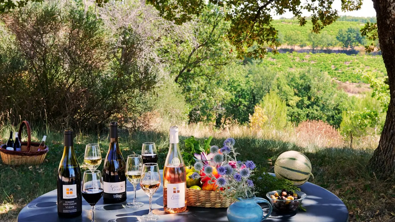 Domaine de Coste Chaude