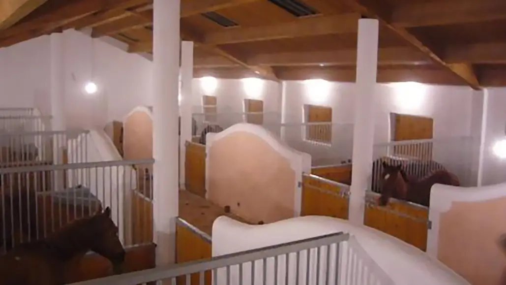 Centre équestre Les Ecuries de Cadillan à Graveson