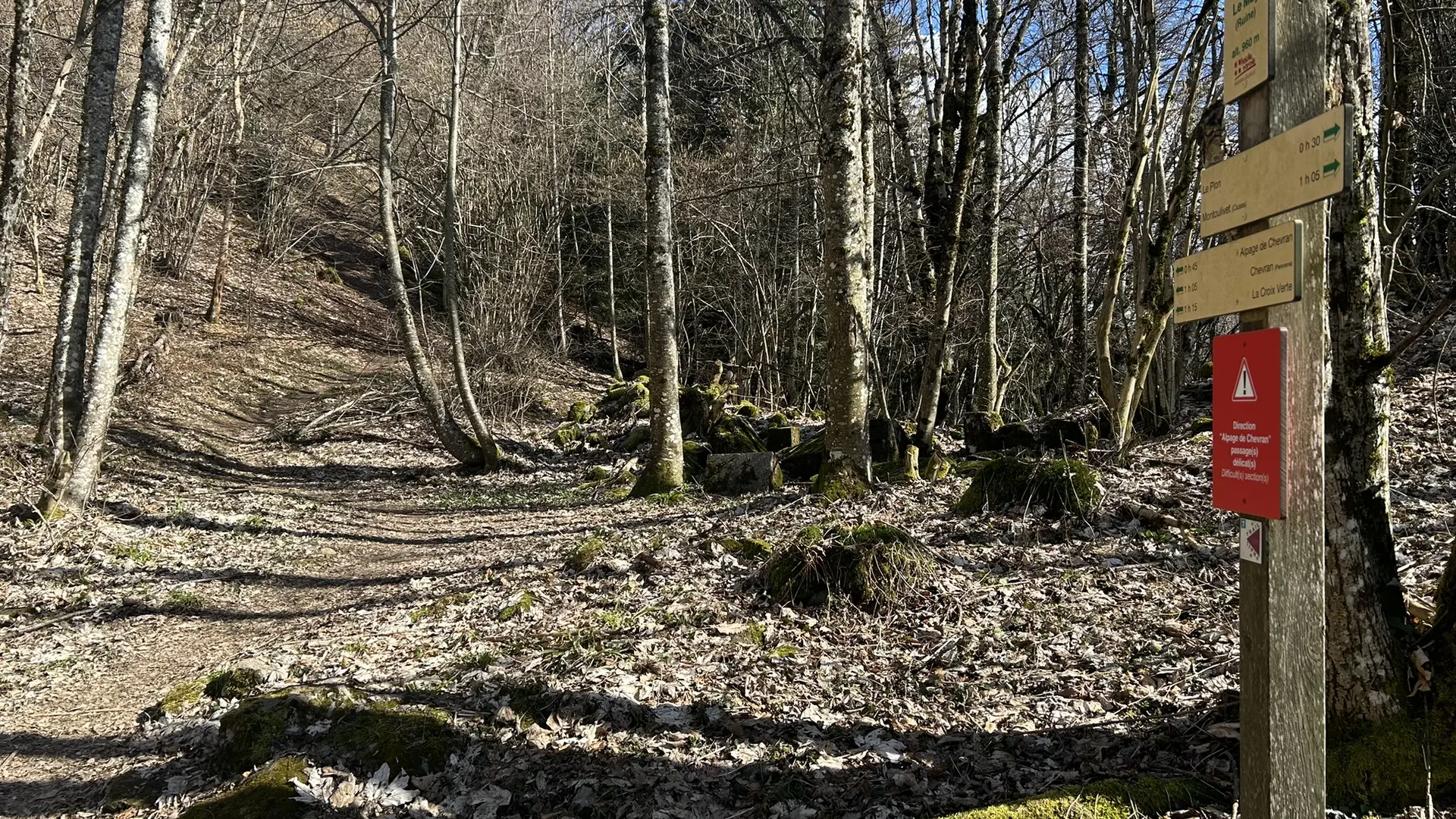 Sentier de forêt