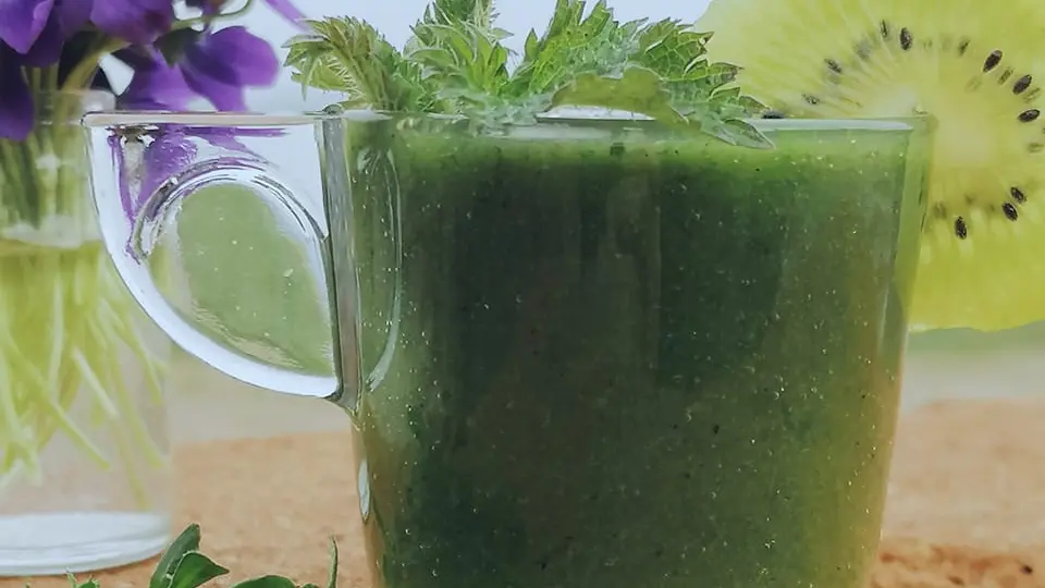 Smoothie plantes sauvages