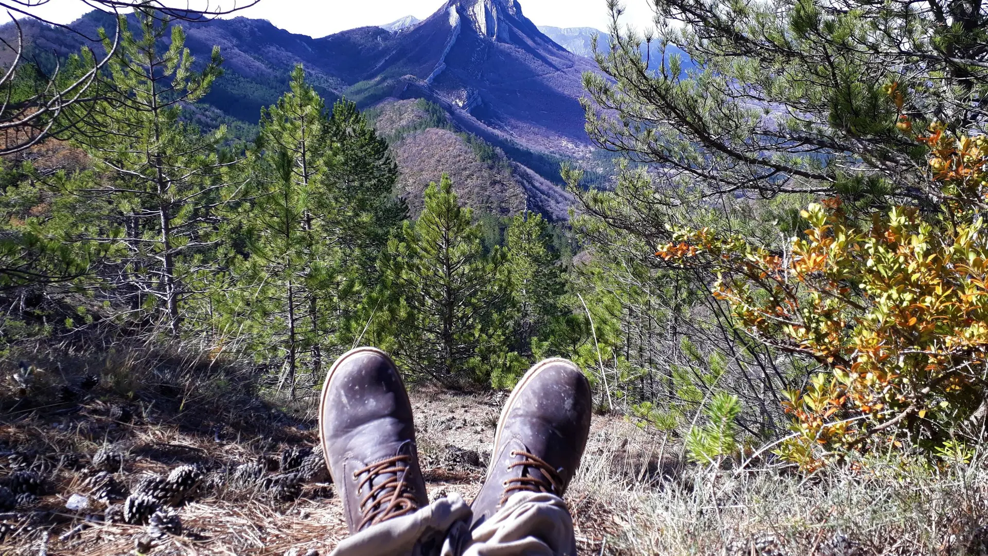 Halte récupératrice