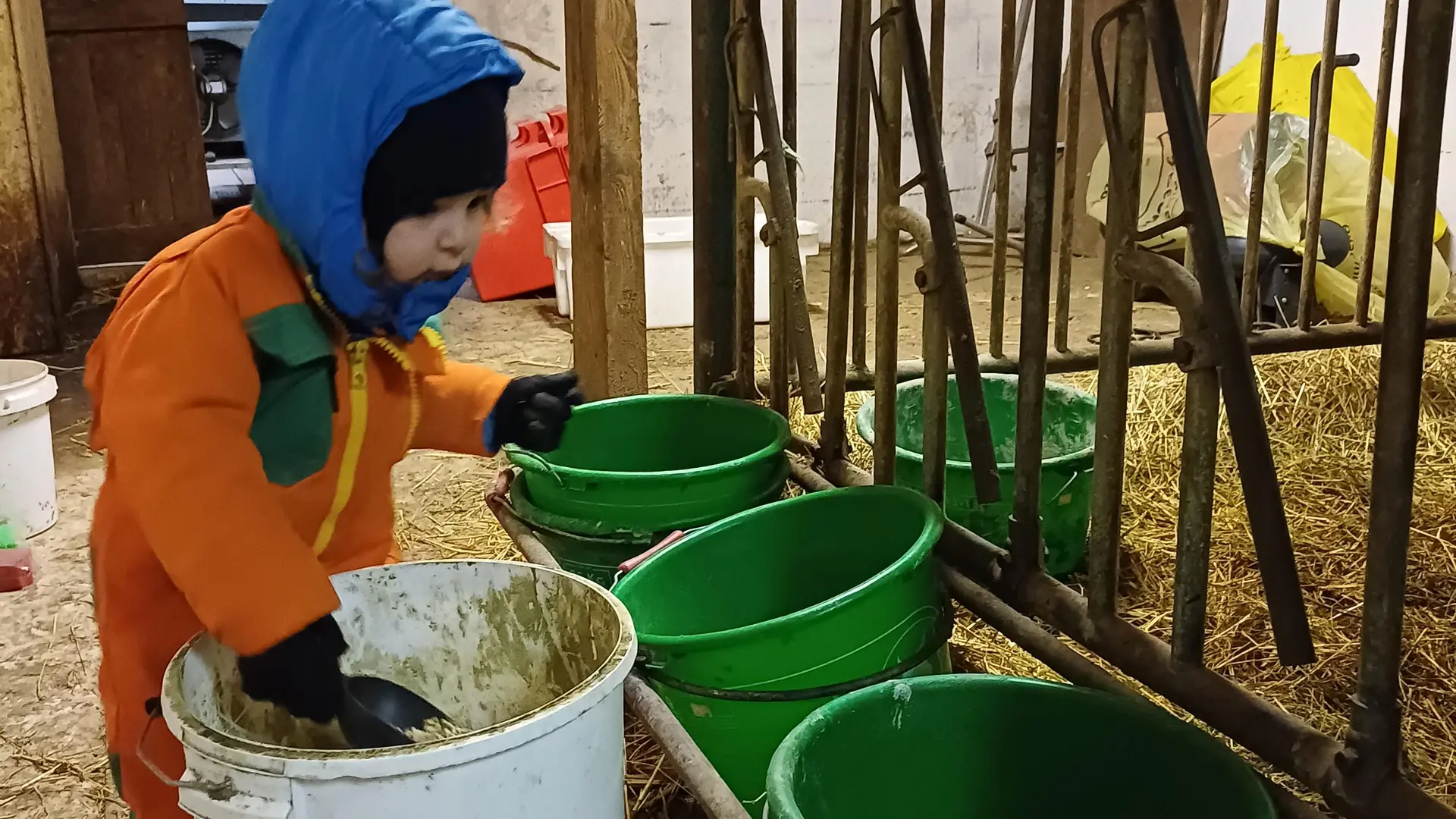visite de ferme soin aux animaux