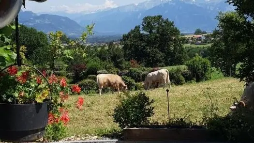 vue de la terrasse