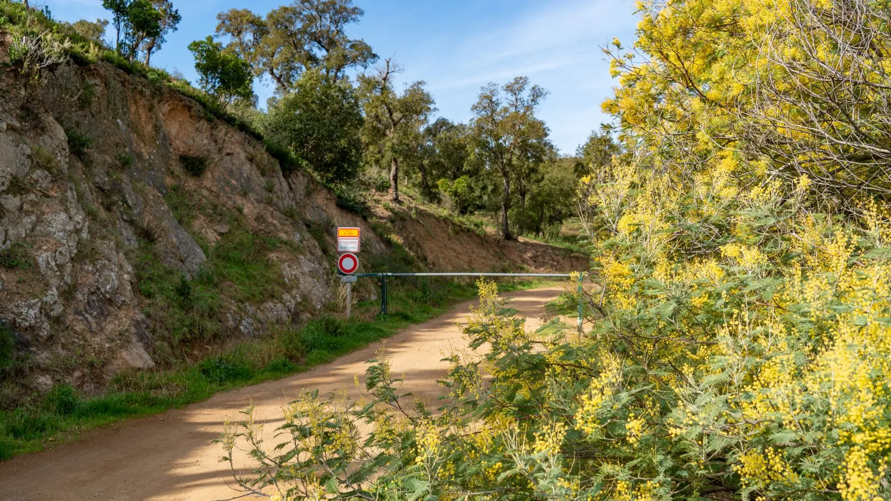 Randonnée : Sentier du mimosa - Vallon de la Gaillarde