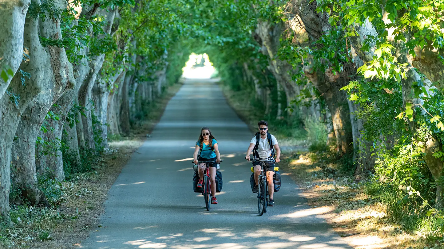 ile de l'oiselay - Sorgues - Via Rhona en Vaucluse