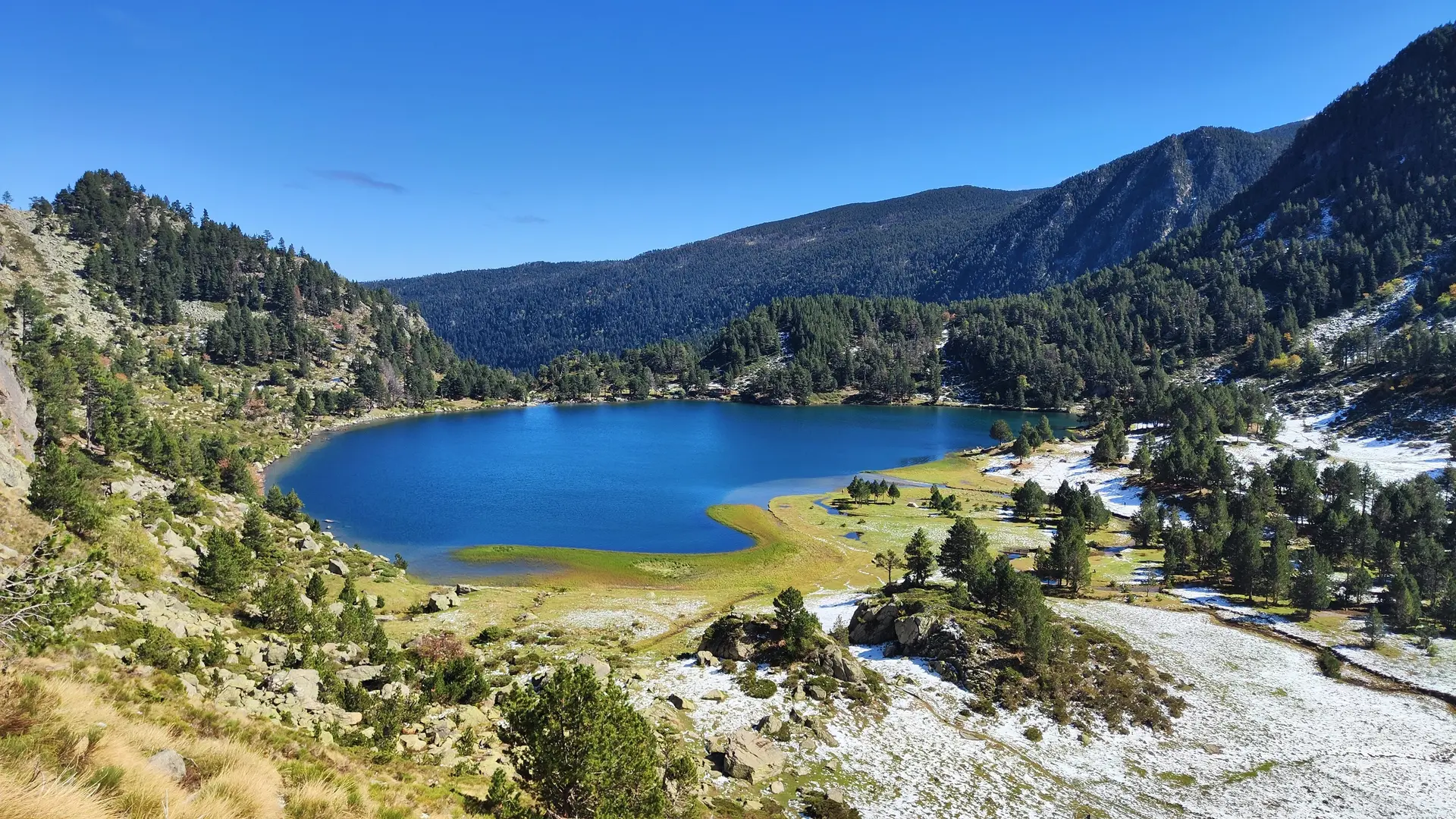 Vue plongeante sur l'étang