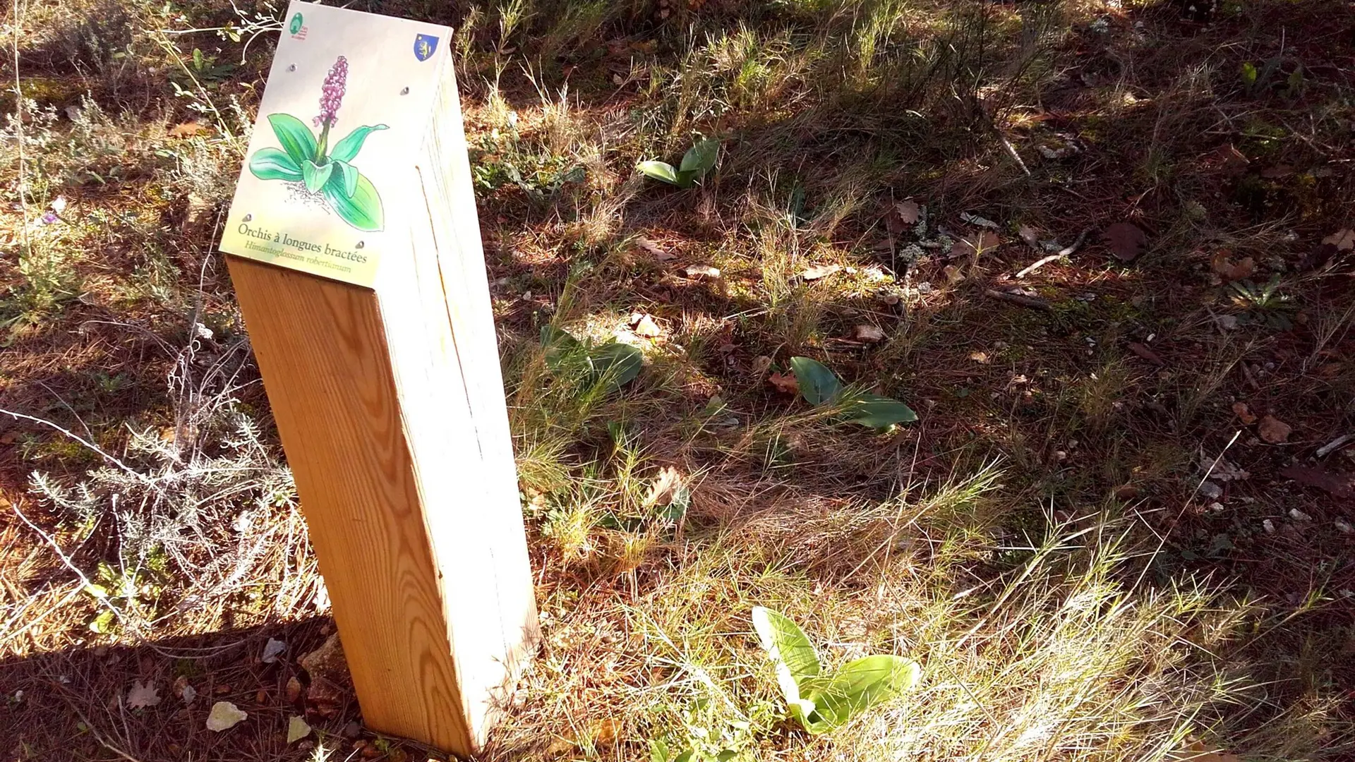 Borne du sentier botanique des Beaumettes