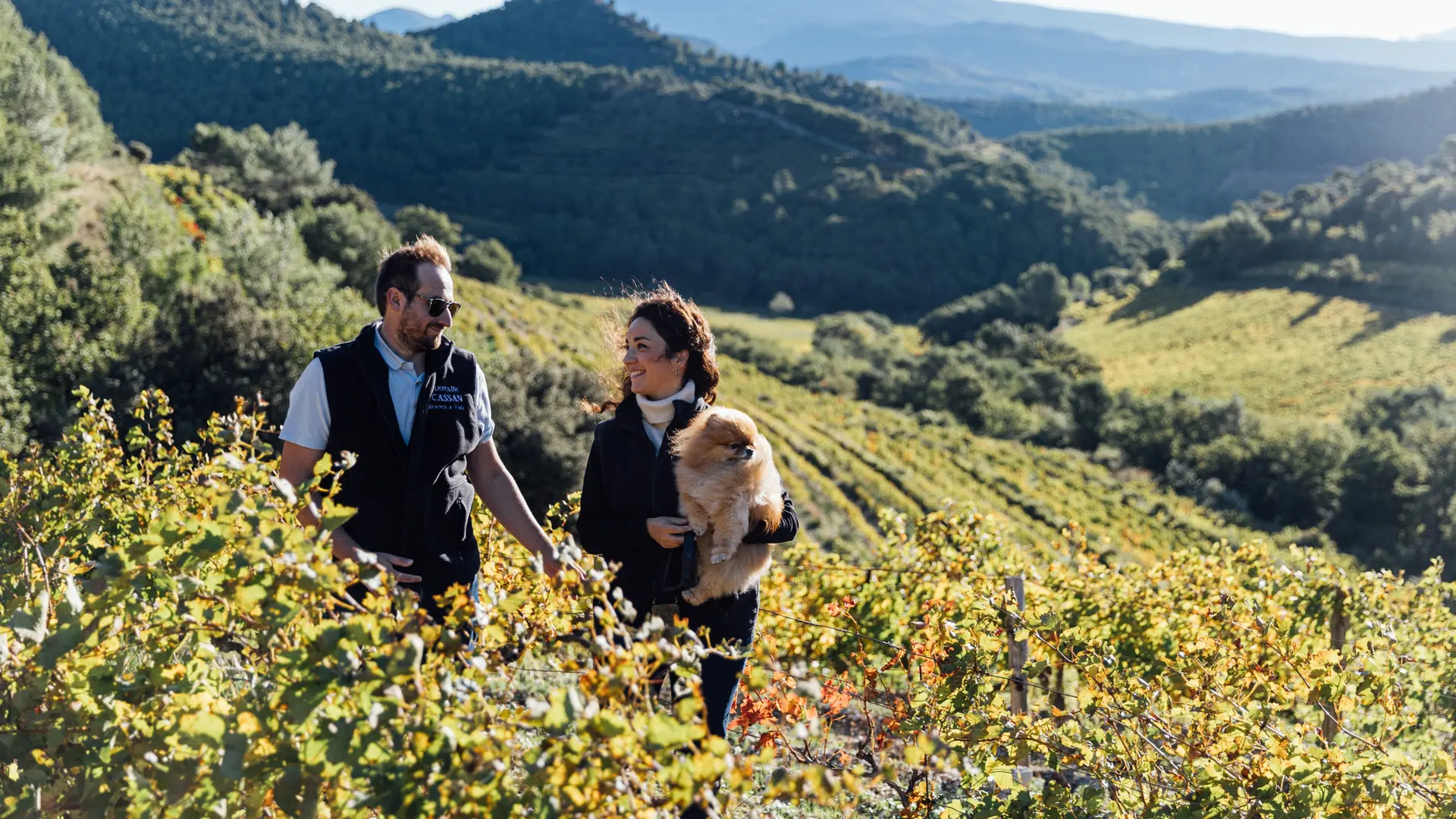 Dentelles de Montmirail