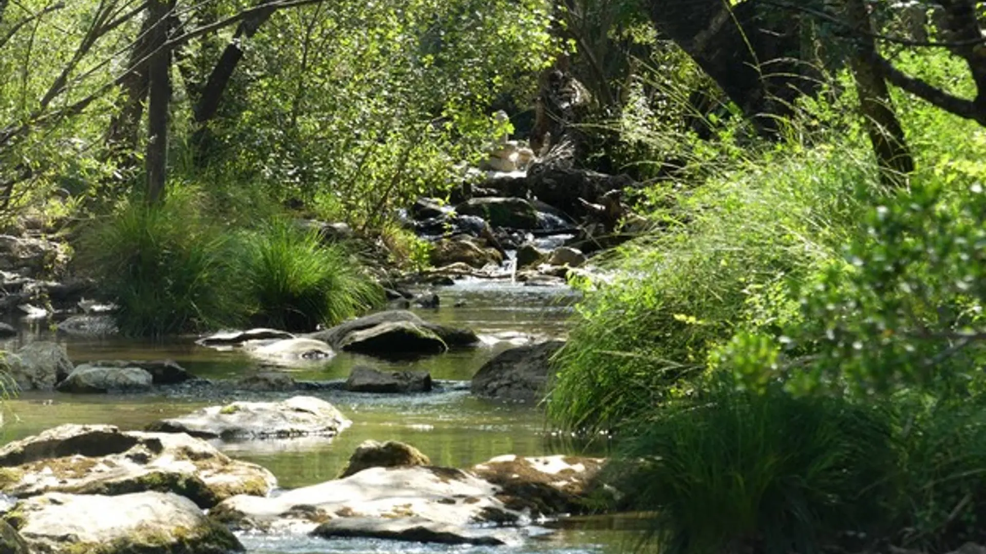Les gorges du Caramy