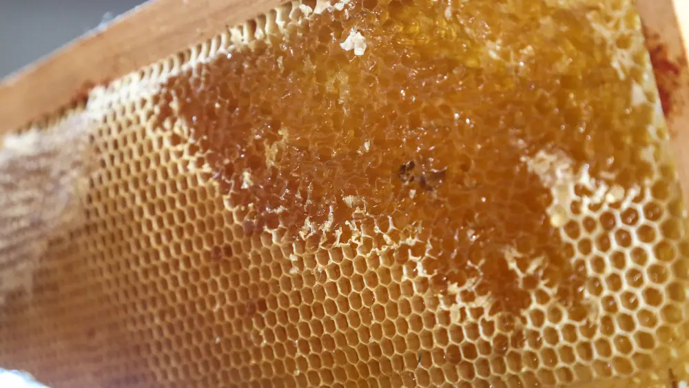 Miellerie La Grange aux Abeilles à Estivareilles