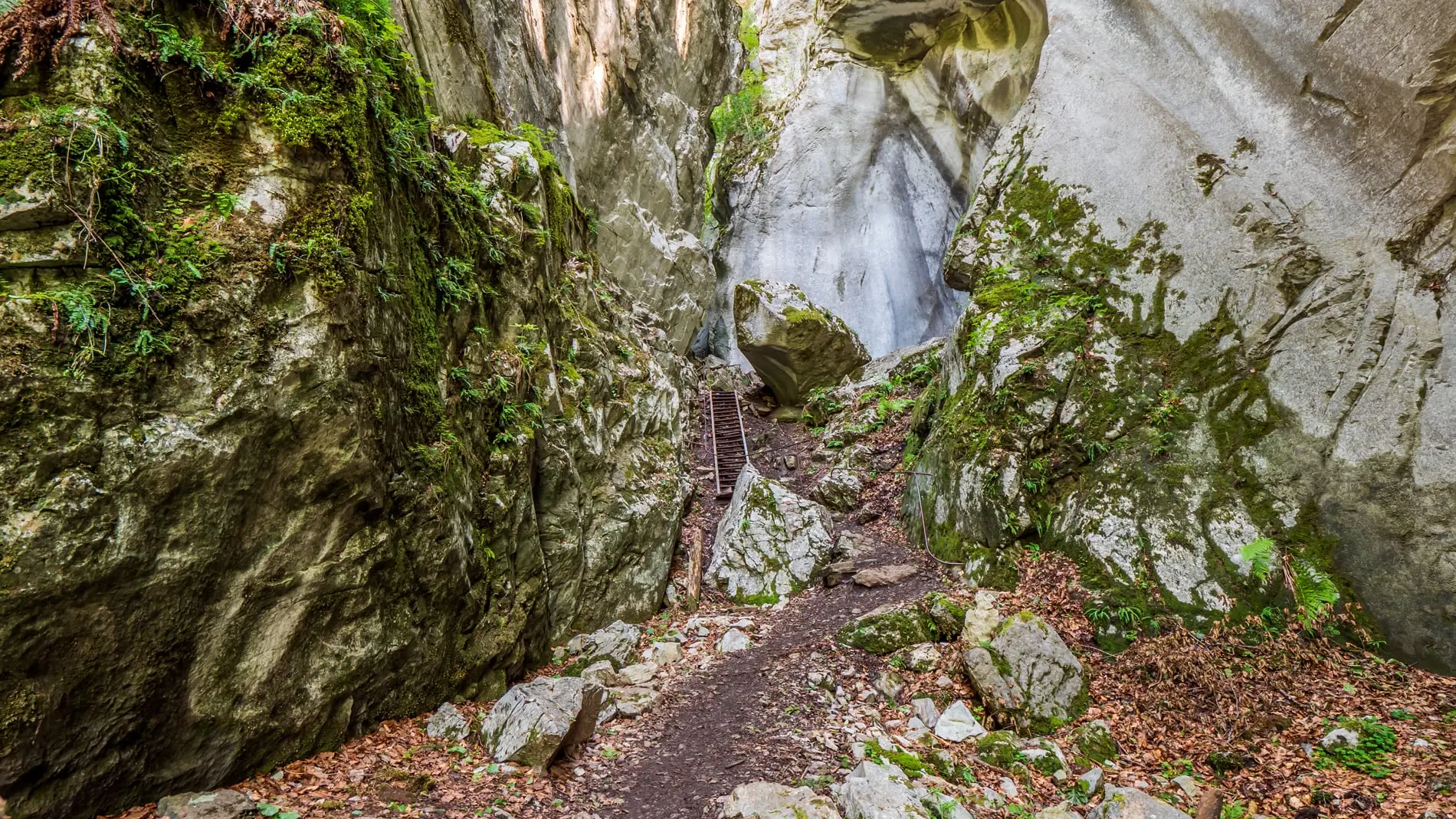 Gorges des Tines