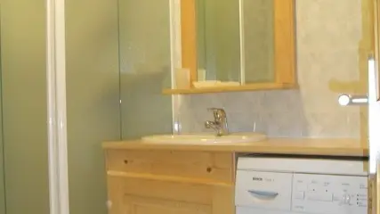 Salle de bain avec machine à laver et douche