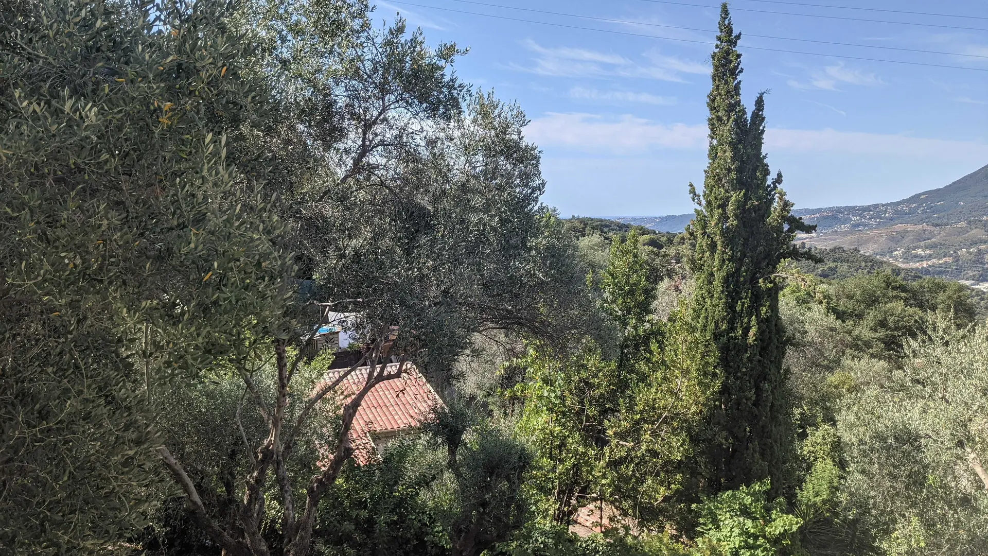 Vue depuis la chambre bibliothèque