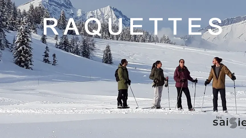 Sortie accompagnée raquettes