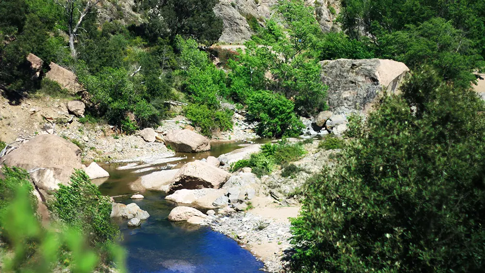 Barrage de Malpasset