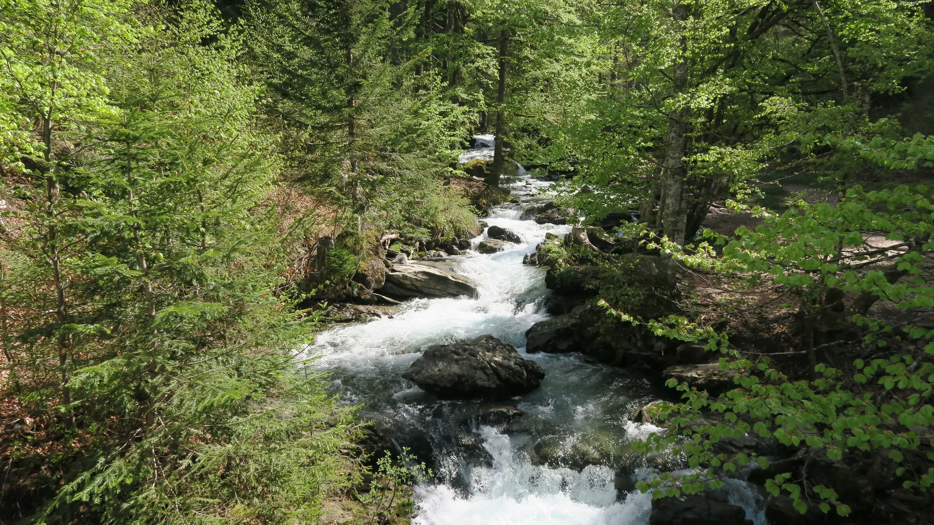 Rivière en amont de la cascade d'Ardent