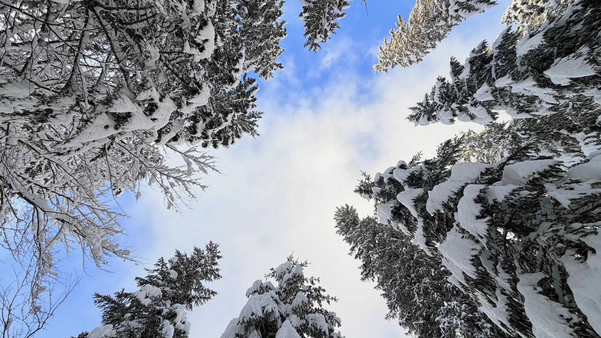 Randonnée accompagnée journée à Chamonix - La maison Umaylam_Chamonix-Mont-Blanc