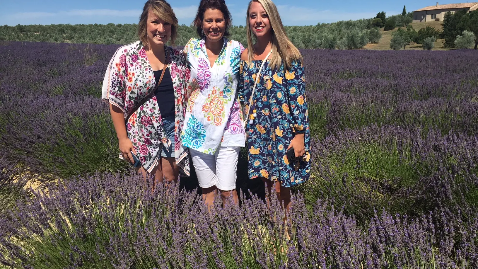 Villages en Provence, visites et patrimoine Private guided tour of the lavender fields in Provence