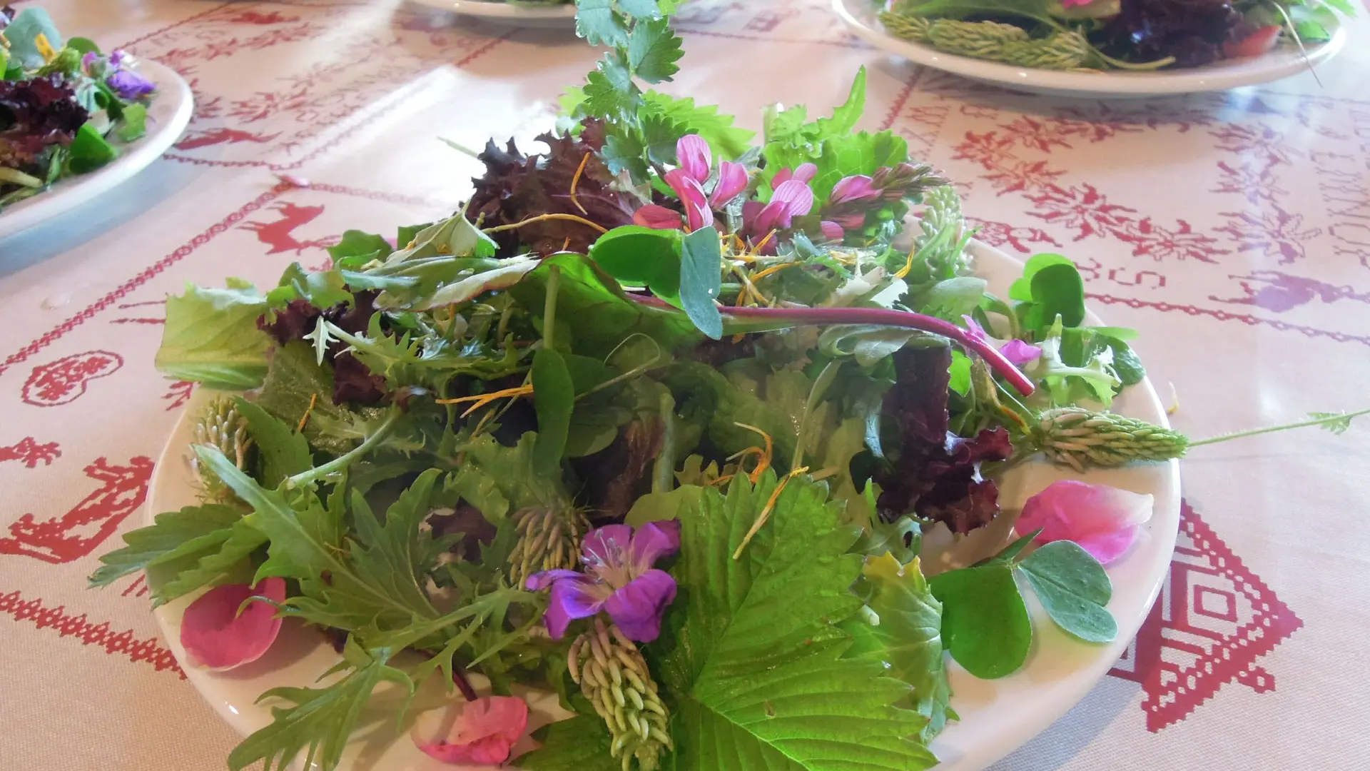 Salade folle aux plantes sauvages