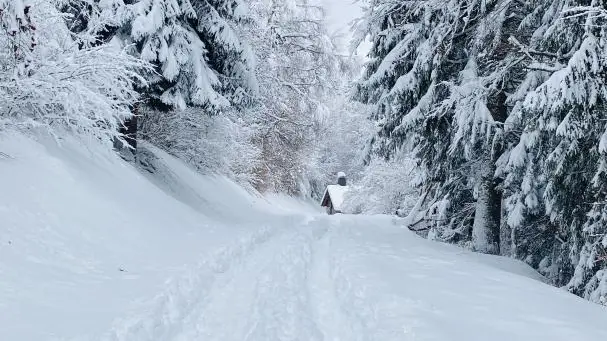 La neige est là, à la station de plaine Joux