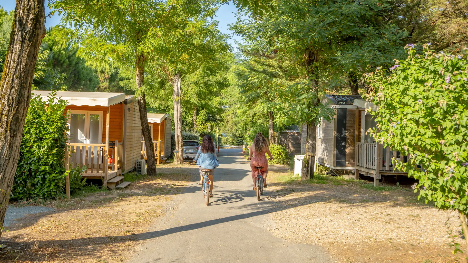 the paths of the campsite