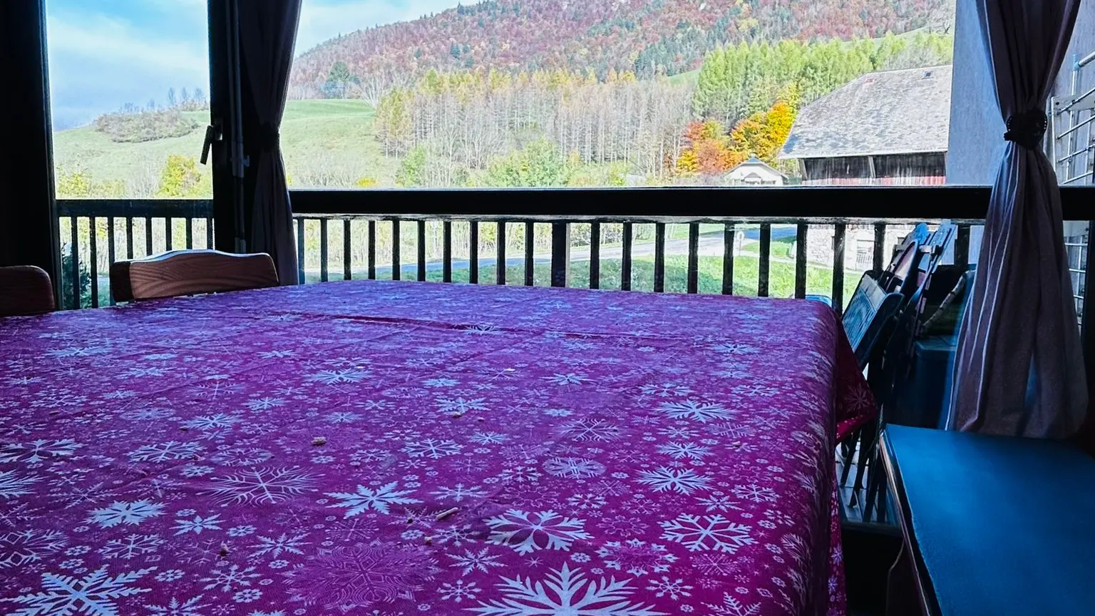 Vue depuis le séjour