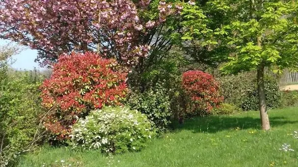 le jardin début avril