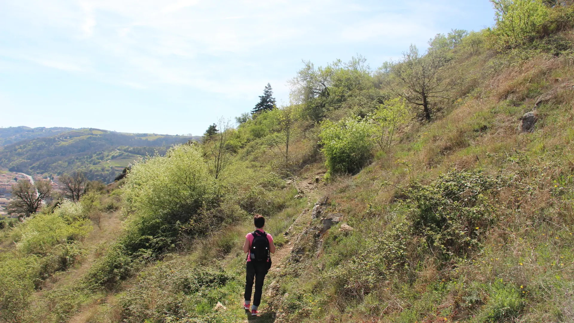 La colline de Revirand_Sarras