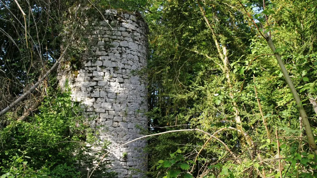 Château ruiné de Mont Didier