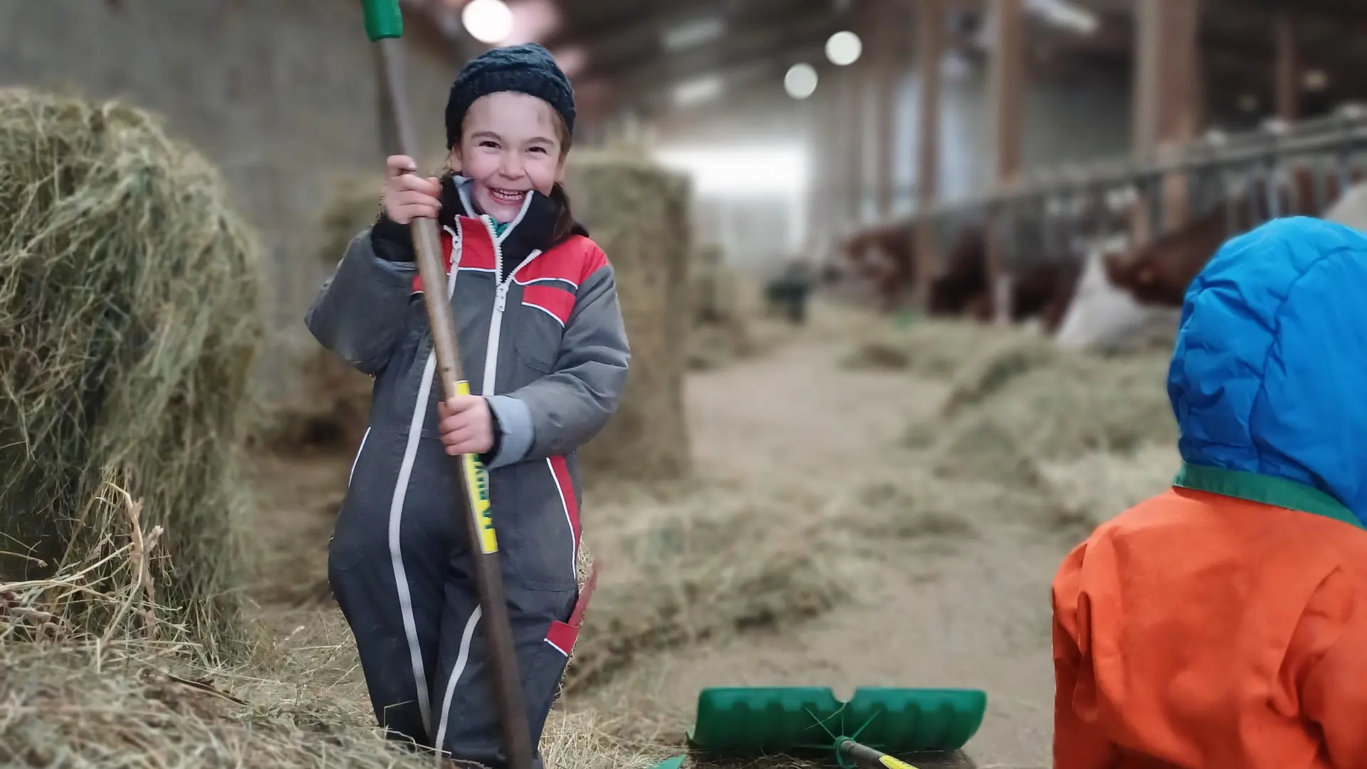 visite de ferme soin aux vaches