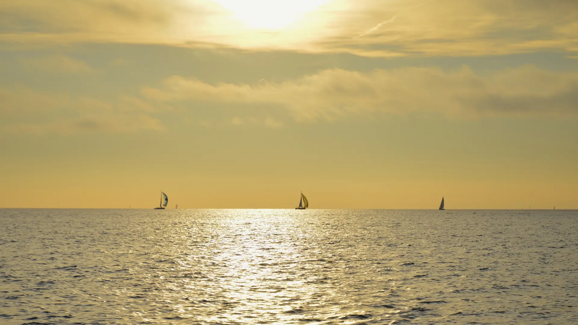 voiliers sur l'horizon