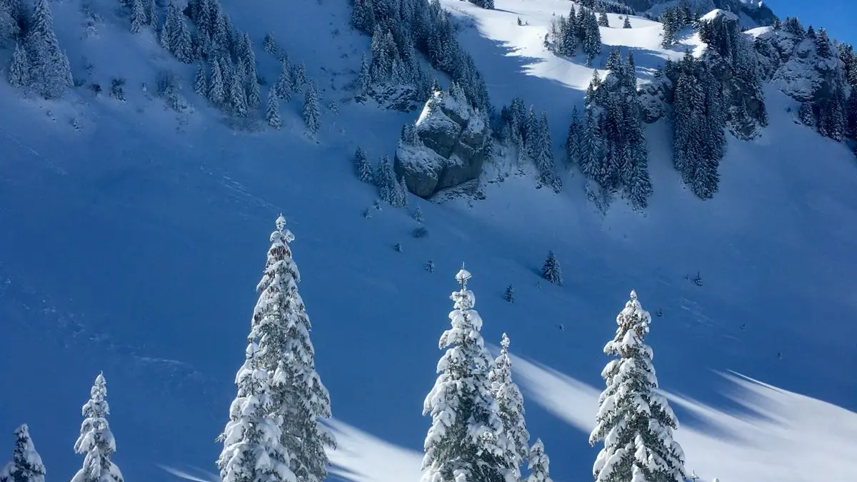 Activité ski de randonnée