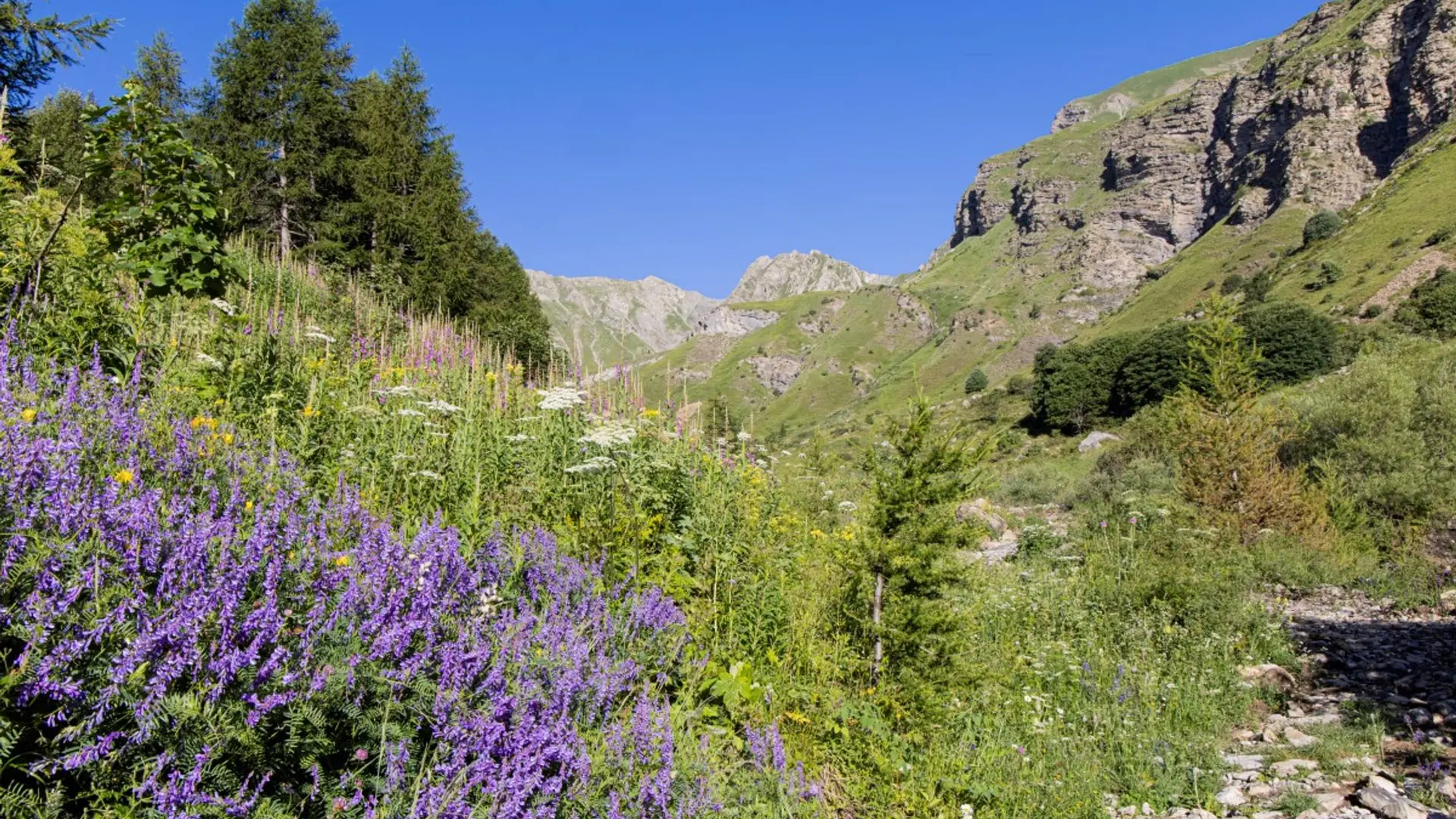 Montée au col de la Coupa