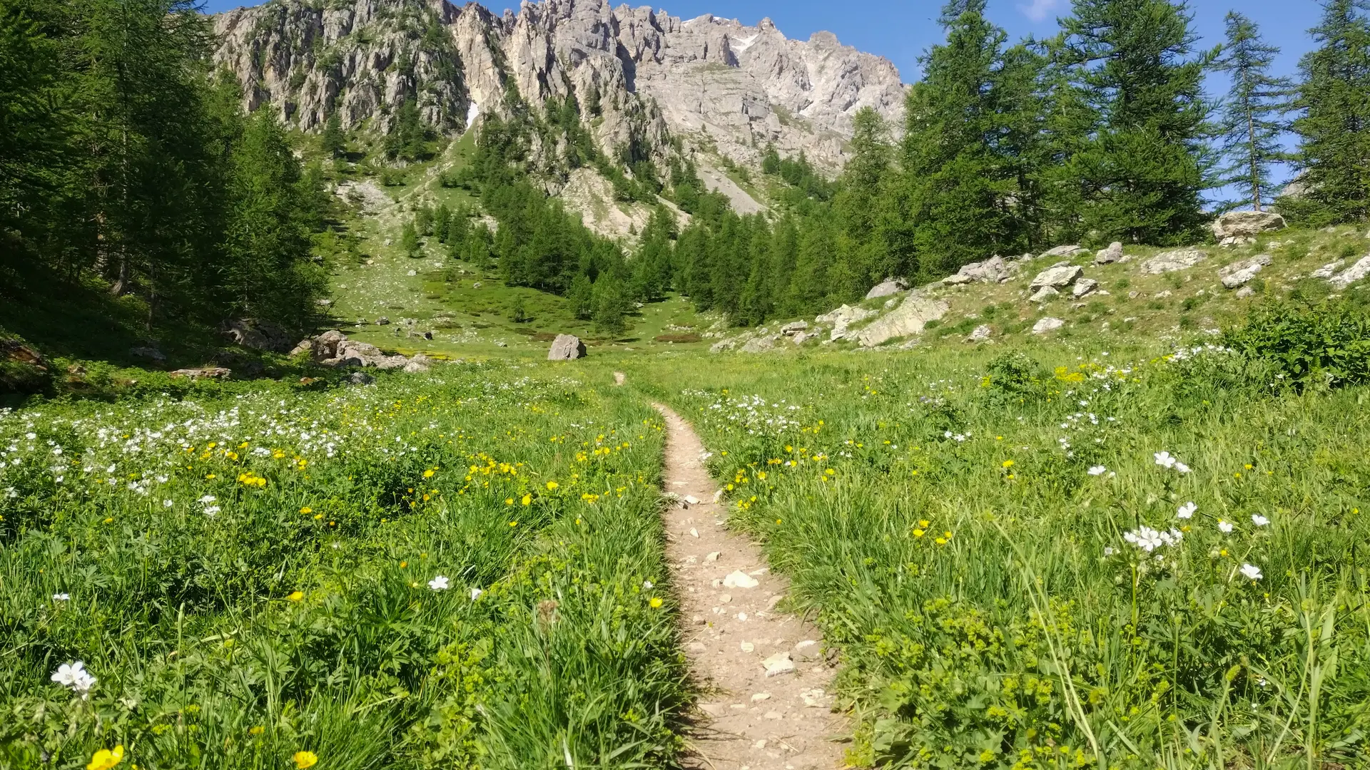 Montée au col de la Trancoulette