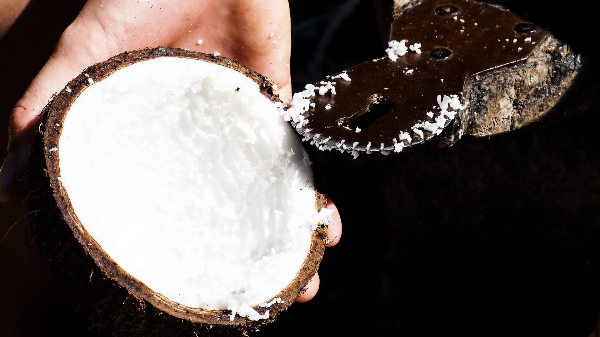 coco, repas en tribu, préparation