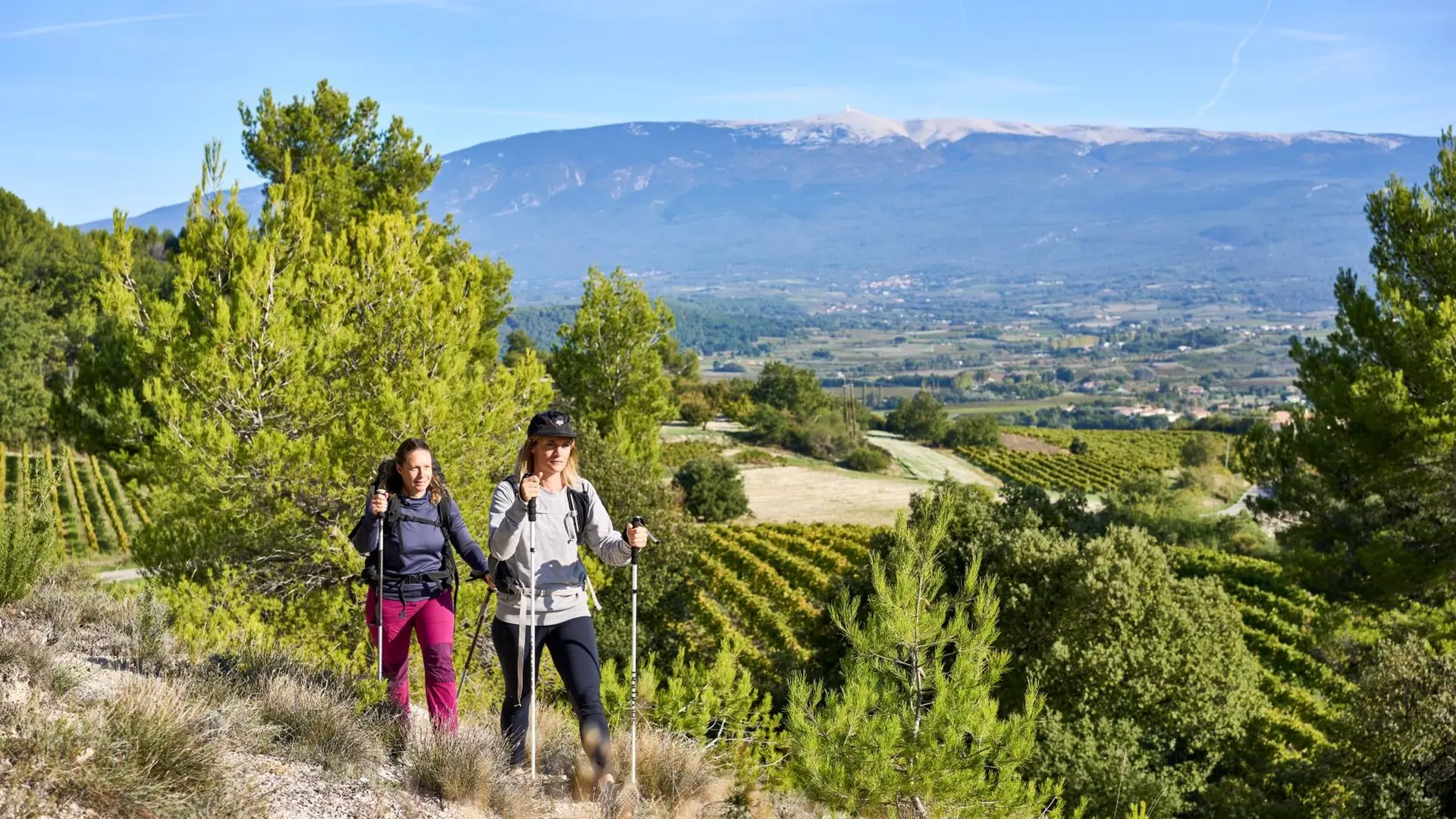 Panorama Ventoux vers Blauvac