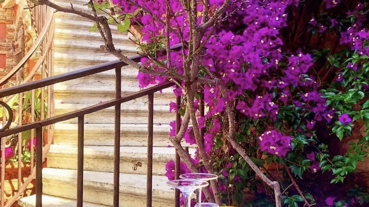 bougainvilliers et table dressée la Grotte