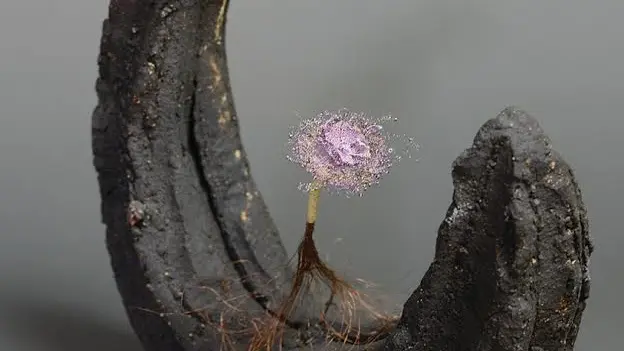 Serre-ponçon Poterie
