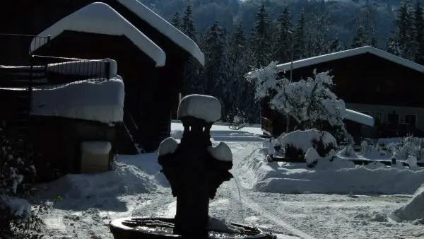 VUE SUD. PISTES DU GRAND MASSIF.