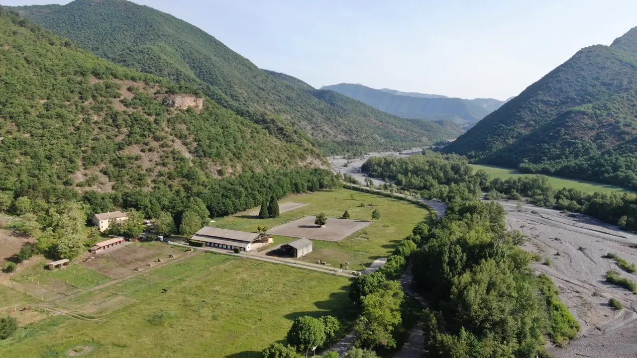 Vue du haut centre équestre