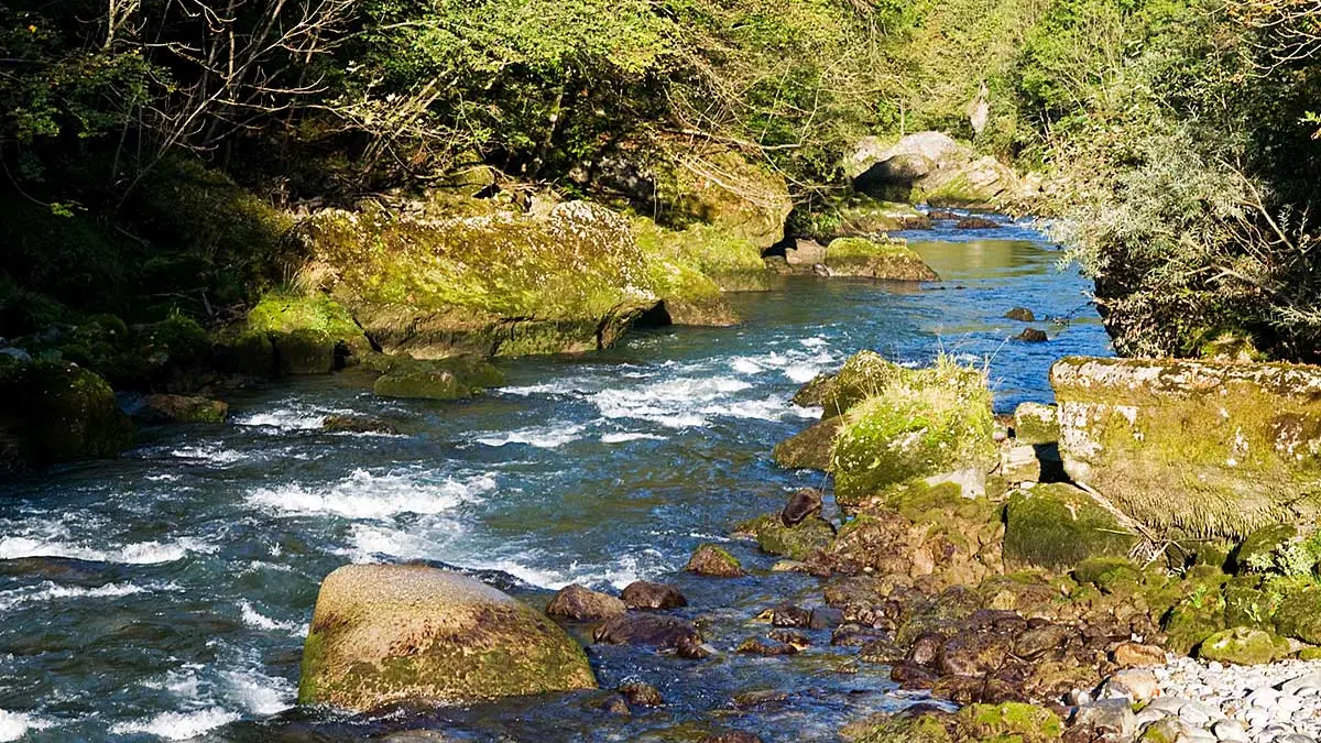 Les bords de Dranse