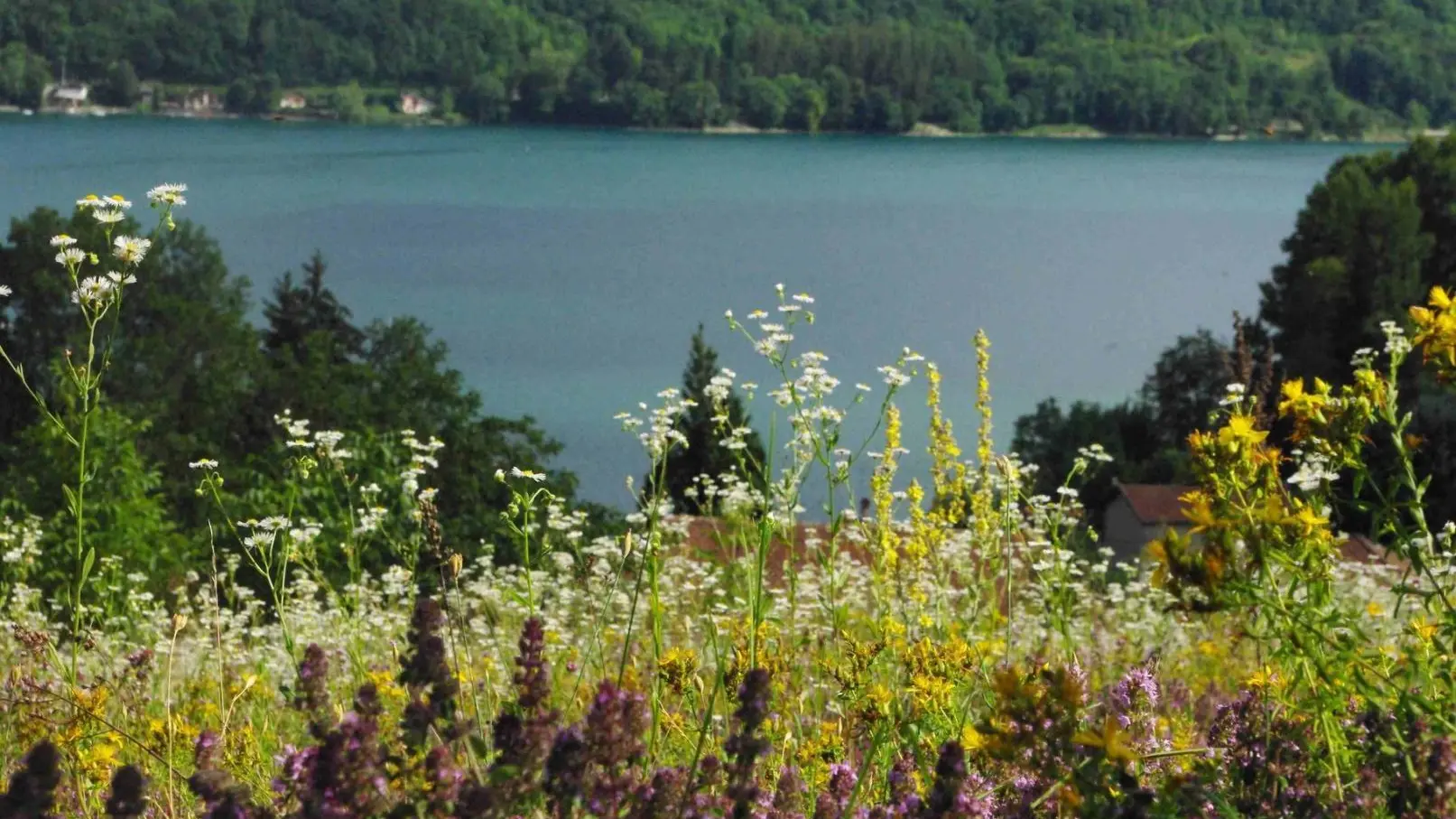 Vue sur le lac tout en bas du jardin