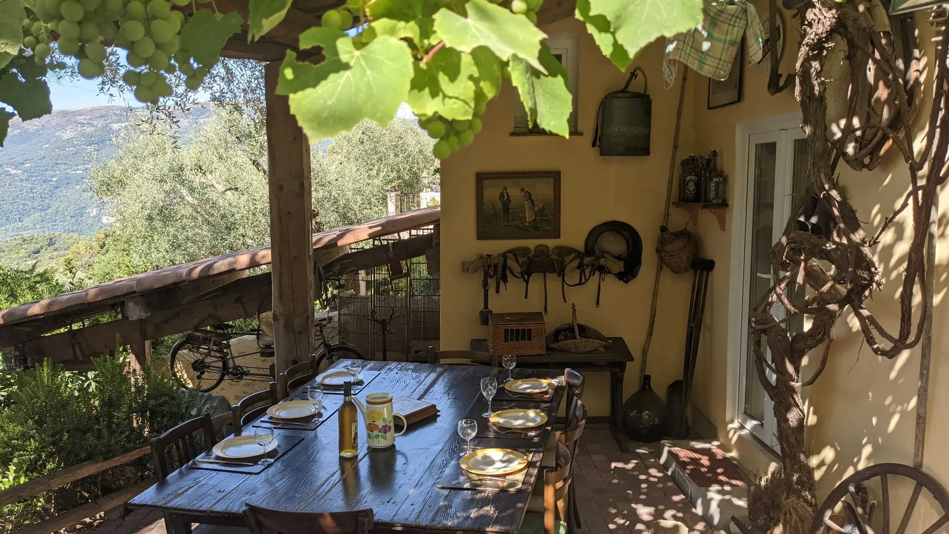 Terrasse couverte