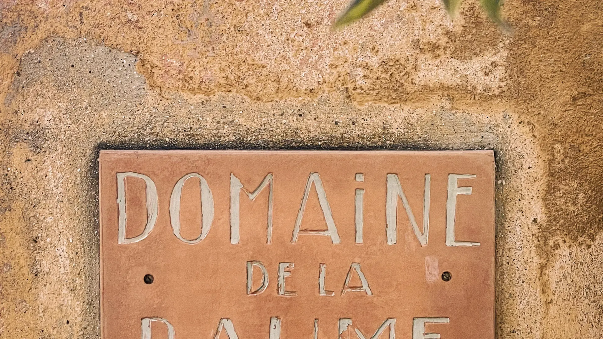 Plaque